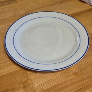 Pier 1 Imports Porcelain Blue Ring 10.5" Dishwasher Microwave Safe Dinner Plate